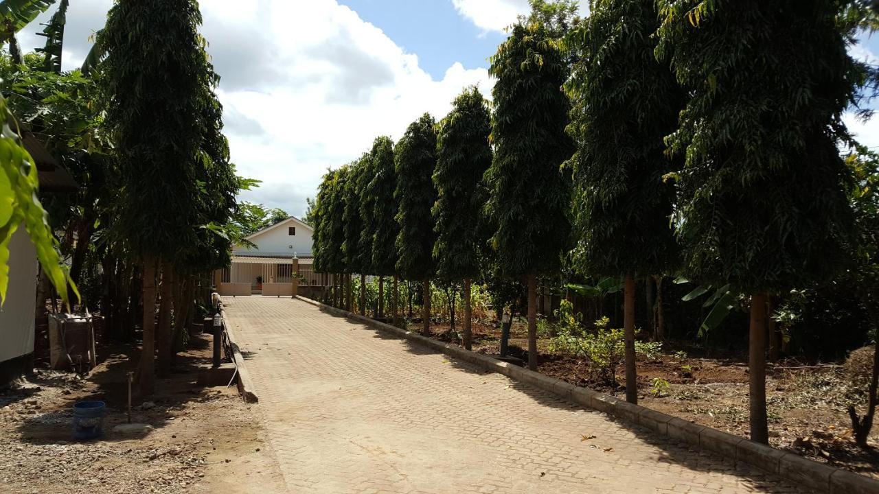 Kilimanjaro Lyimo's Country House2 Moshi Bagian luar foto